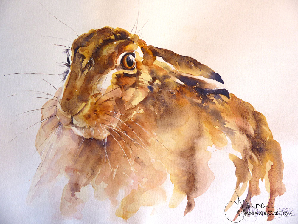 Watercolour hare