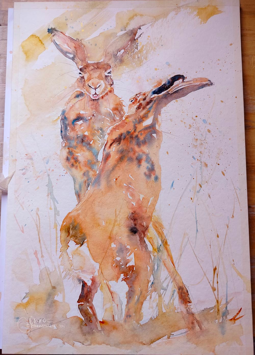 Boxing hares watercolour painting