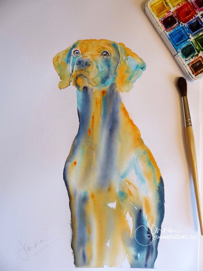 Colourful watercolour dog