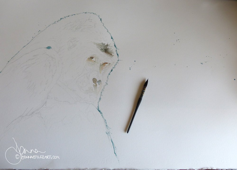 Masking fluid applied and first wash for the eyes, nose and forehead.