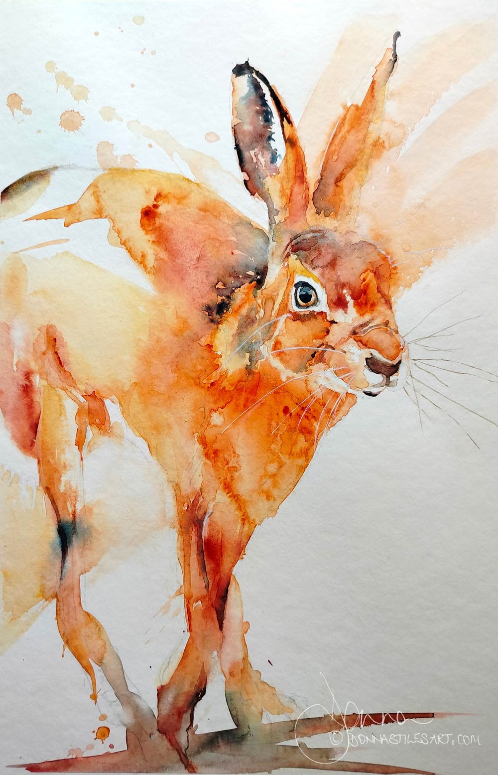 Loose watercolour hare