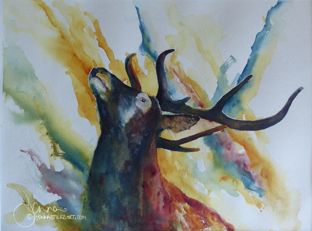 Stag watercolor