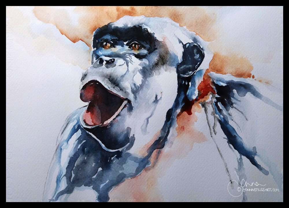 Watercolour animal portraits